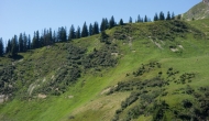 30-DSC02856