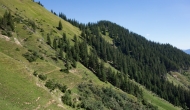 35-DSC02864