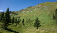 41-DSC02874