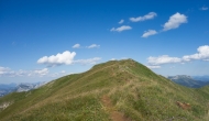 61-DSC02908
