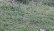 86-DSC02959