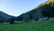 87-DSC02960