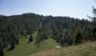 13-DSC02983