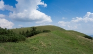 23-DSC02998