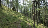29-DSC03007
