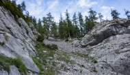 15-DSC03037