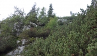 25-DSC03051