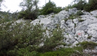 28-DSC03055