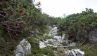 31-DSC03059