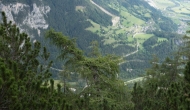 32-DSC03060