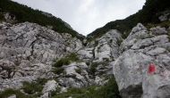 51-DSC03088