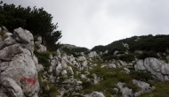 55-DSC03096