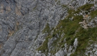 71-DSC03123