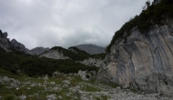 81-DSC03137