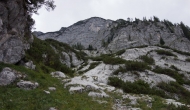 83-DSC03139