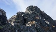 098-DSC03594