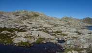 165-DSC03695