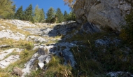 06-DSC03746