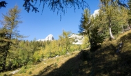 09-DSC03750