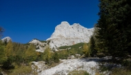 10-DSC03751