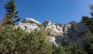 11-DSC03752