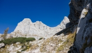 14-DSC03756