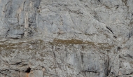 21-DSC03765