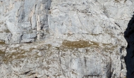 31-DSC03778