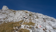 47-DSC03802