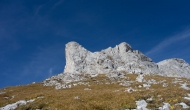 49-DSC03804