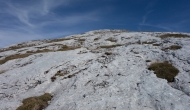 79-DSC03848