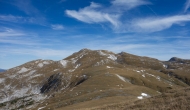 81-DSC03852