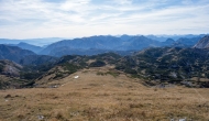82-DSC03853