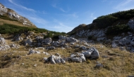 87-DSC03860