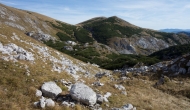 88-DSC03861