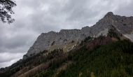 11-DSC04022