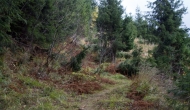 17-DSC04029