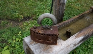 19-DSC04031