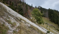 22-DSC04034