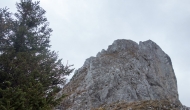 29-DSC04049