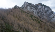 45-DSC04071