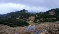 54-DSC04083