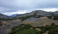 56-DSC04085