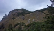 61-DSC04093