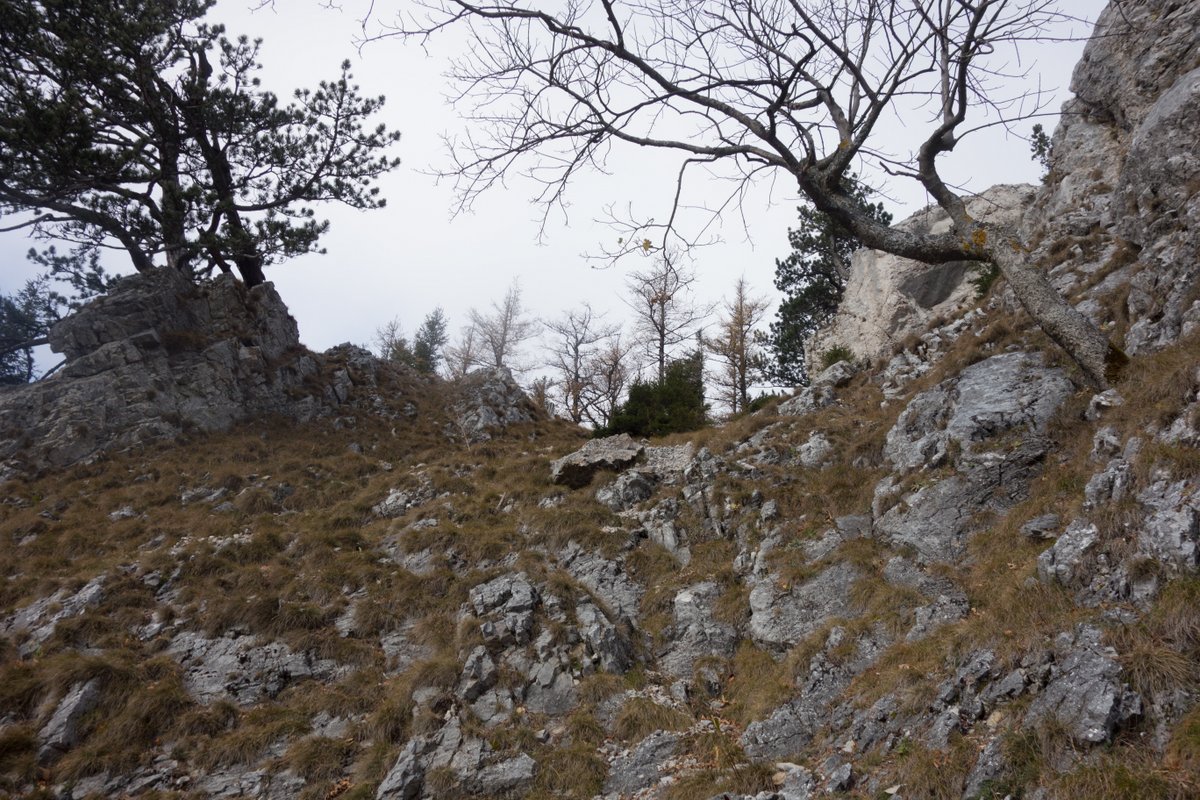 54-DSC04171