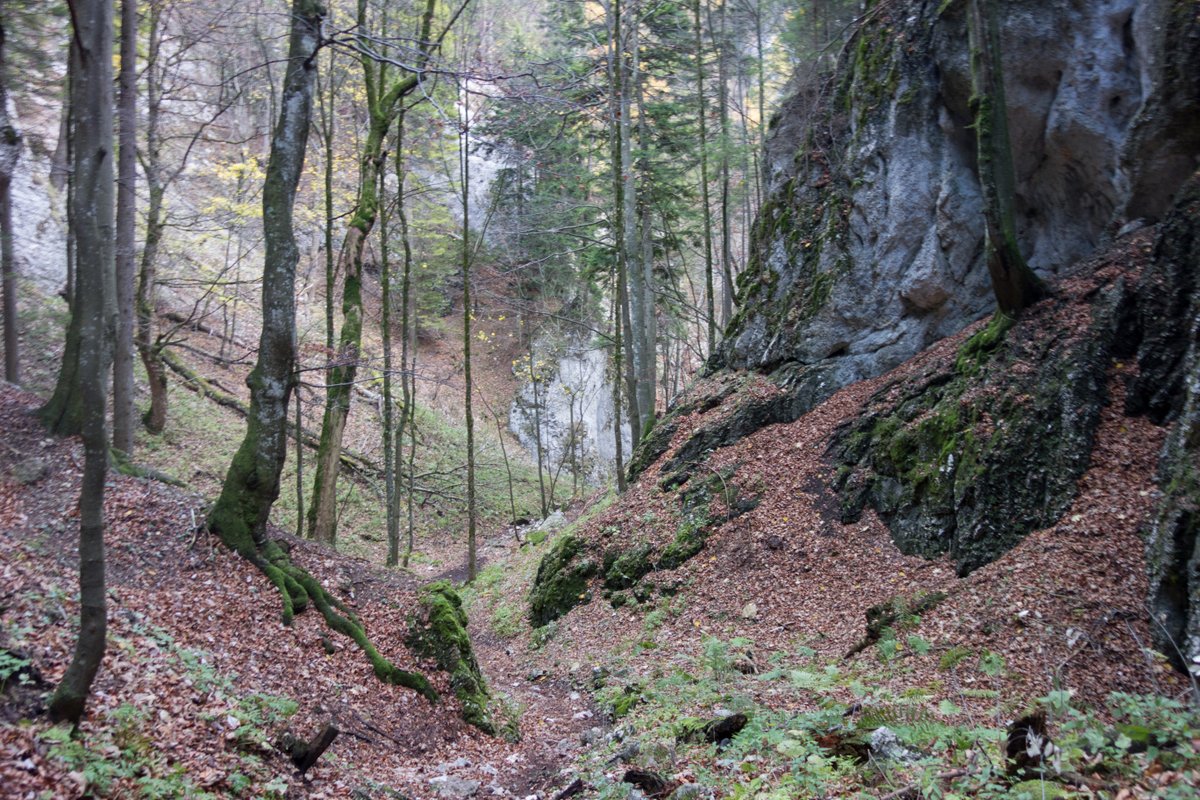 71-DSC04195