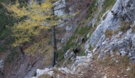 45-DSC04161