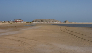 DSC05008