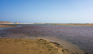 DSC05010