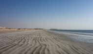 DSC05050